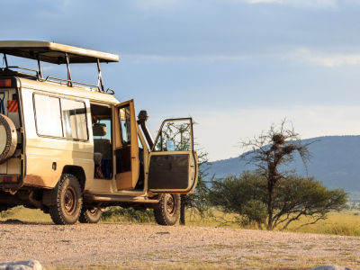 Kenya eller Tanzania: Hvilken safari skal du vælge?
