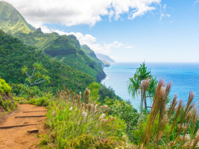 Aloha Hawaii: 4 øer på én uforglemmelig rejse