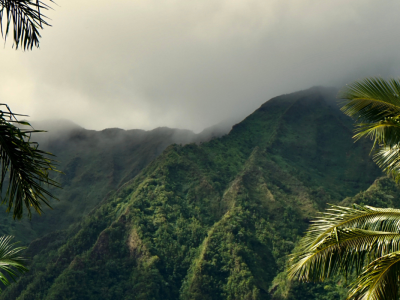 Hvilken Hawaii-ø vil du vælge?