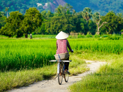 Vietnam
