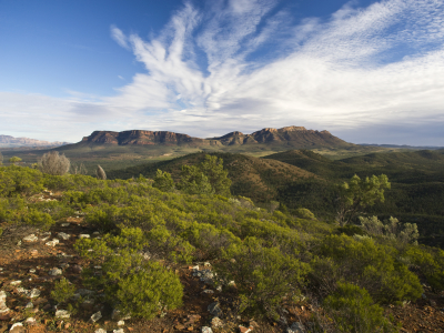 Australien - South Australia - Flinders Ranges - Wilpena Pound (7)