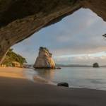 New Zealand Tour