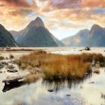 New Zealand Tour