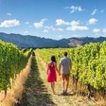 New Zealand Tour