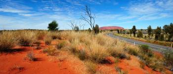rejser til australien