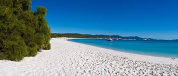 Australien - Queensland - Great Barrier Reef - Whitsundays - Whitehaven beach 4 (Custom)