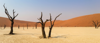 Resa till Namibia