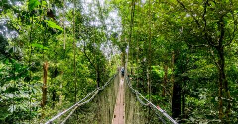 AdobeStock_179900224.jpeg