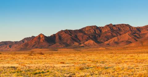 En panoramaudsigt over Flinders Ranges, Australien