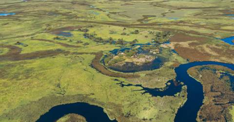 Okavangodelta_228747554.jpeg