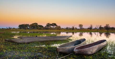 Okavangodelta_243198494.jpeg