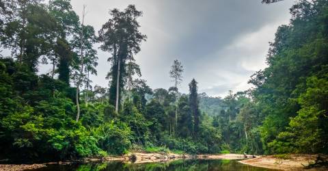 AdobeStock_245196912.jpeg