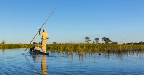 Okavango delta