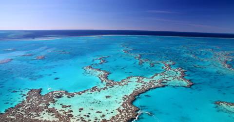 Australien - Queensland - Great Barrier Reef - koraller 2