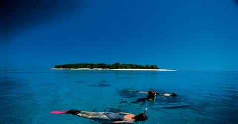 Australien - Queensland - Great Barrier Reef - snorkling 1