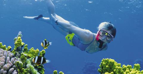 Australien - Queensland - Great Barrier Reef - snorkling 9.jpg