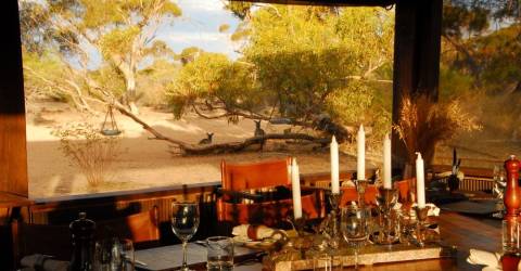 Australien - South Australia - Gawler Ranges - Dining room with Kangaroos in back ground.jpeg
