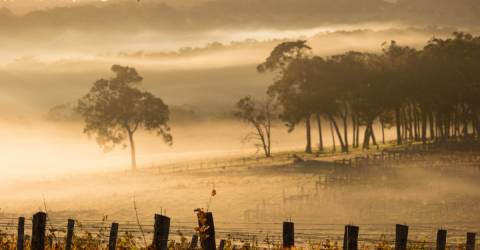 Australien - Western Australia - Margaret River - Vinmark