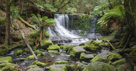Australien - tasmanien - Russel fall.jpeg
