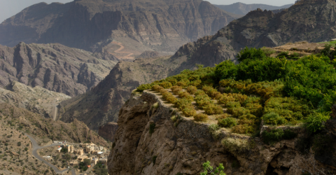 Best of oman (9).png