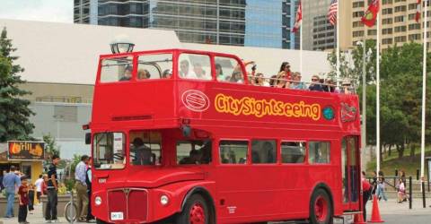 Canada - Ontario - toronto -hop on hop off.jpg