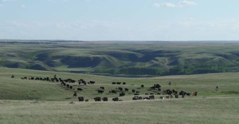 Canada - Saskatchewan - La Reata Ranch 8.jpg