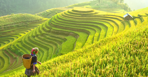 Bali indonesien