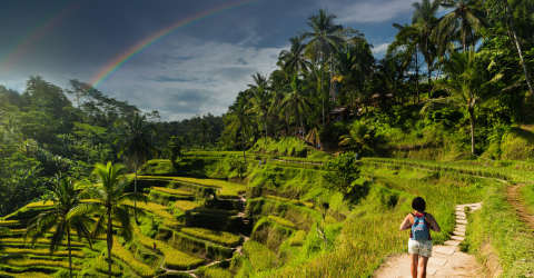 Risfält på Bali