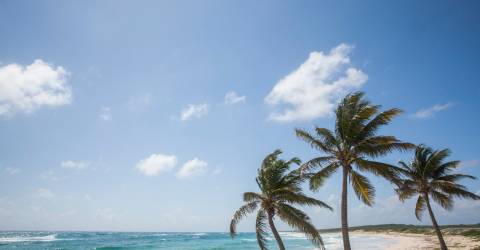 Cozumel_ShoreEx_011