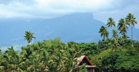 Hus bland palmer på strand vid First Landing Resort, Fiji