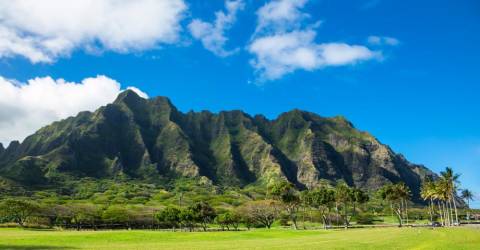 Stora Hawaiiresan