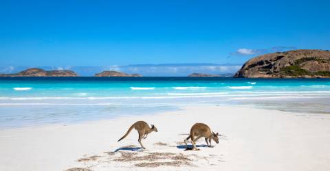 Det bedste af Australien