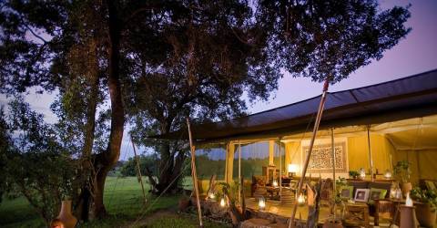 Kicheche safari camp (6).jpg