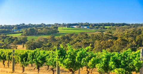 Roadtrip: Kulinariska Australien