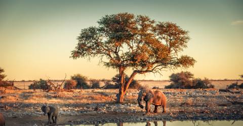 Namibia (2).jpeg