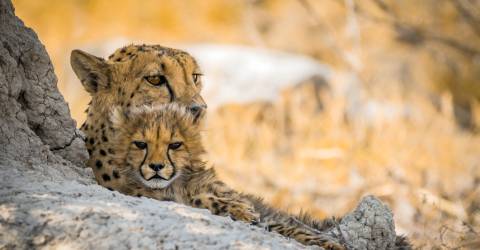 Namibia (3).jpeg