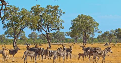 Namibia (5).jpeg