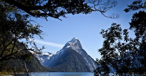 Snötäckt berg i fjord vid Milford Sounds på Sydön, Nya Zeeland