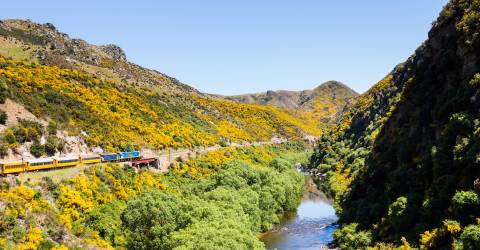 New Zealand - Sydoen - Queenstown  - tog