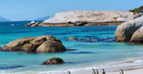 Pingviner på sandstrand med hav och klippor utanför Kapstaden, Sydafrika