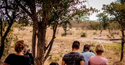 Grupp människor som ser ut över naturen från Shindzela Lodge, Sydafrika