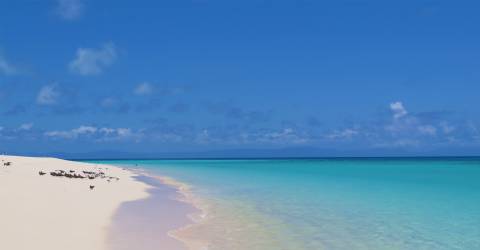 TheGreatBarrierReef13