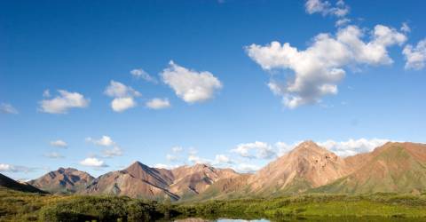 USA - Alaska - Denali - National Park - Lake