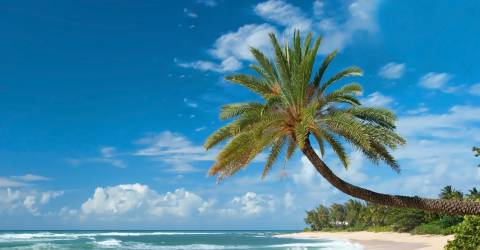 USA - Hawaii - Oahu - Strand (Custom)