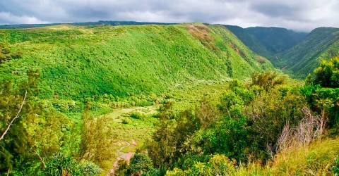 USA - Hawaii - The Big Island - Natur - 1.jpg