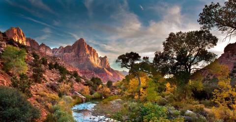 USA - Utah - Zion National park (2)_0