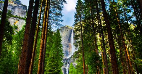 USA - californien - Yosemite - Yosemite Fall