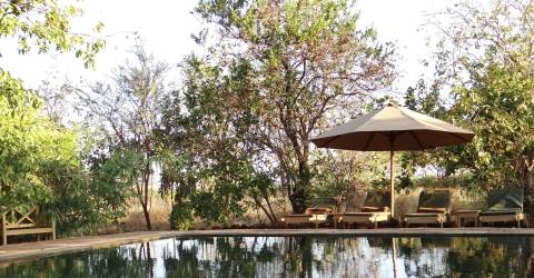 iKweta safari camp (7).jpg