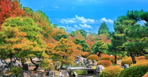 japan (2).jpeg