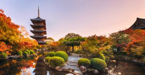 japan (5).jpeg